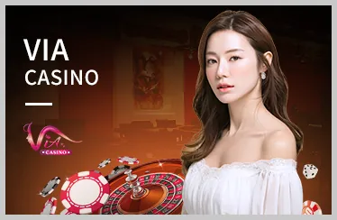 Biểu đồ tỷ lệ RTP